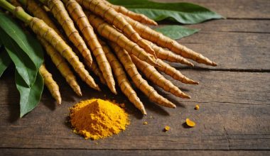 curcumin natural joint support