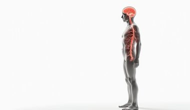 detox recovery health benefits life transformation