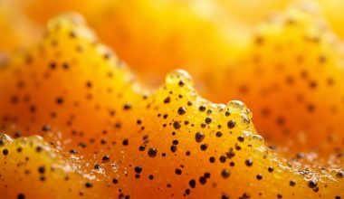 orange juice chia seed transformation