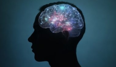 cognitive performance fluctuates diurnally