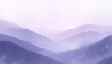 color s calming effect on people