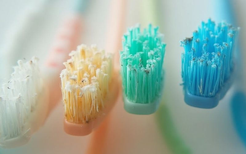dentist recommends toothbrush replacement frequency