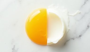 egg components relative health usefulness
