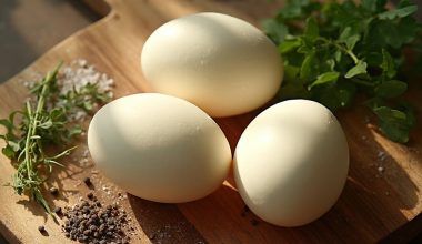 eggs improve mental capabilities