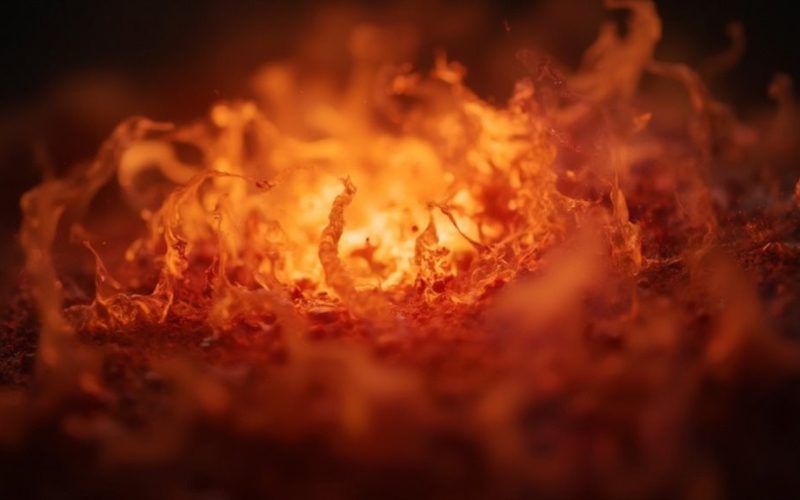 mesmerizing flame soothes neural activity