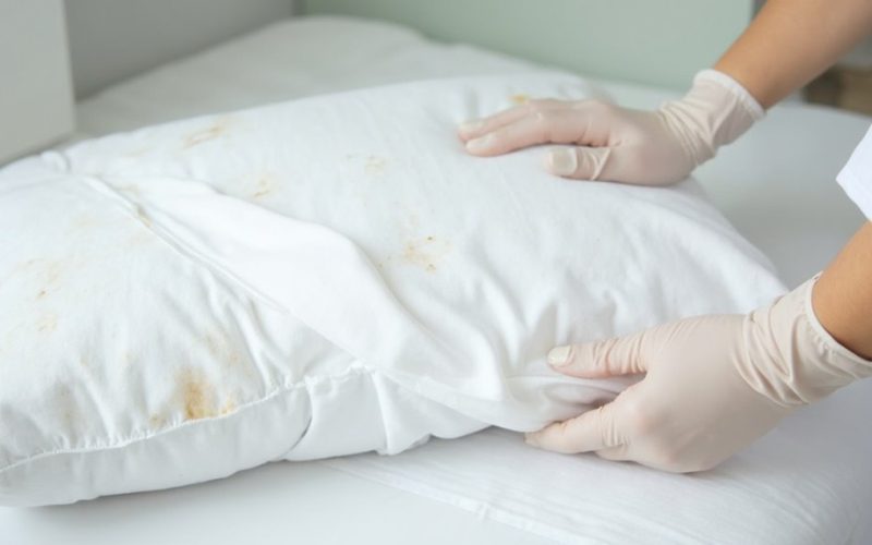 pillow washing frequency revealed