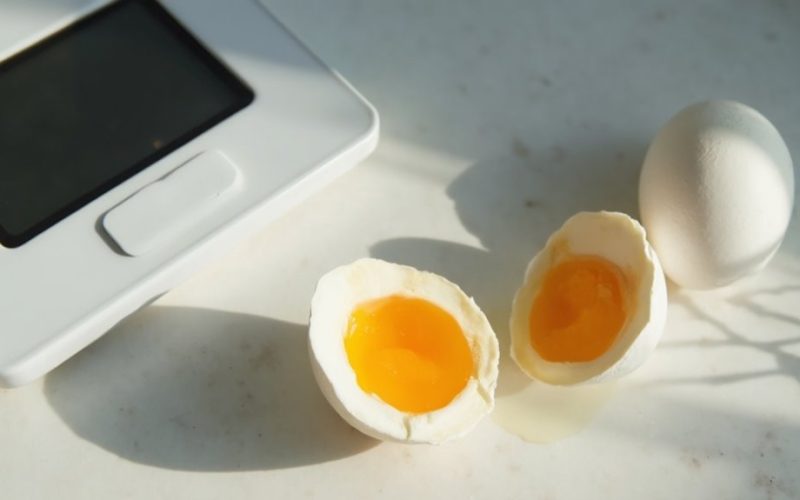 protein rich eggs for weight loss
