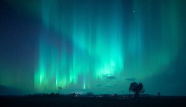 solar activity forecast