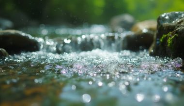 tranquil flow soothes stressed minds