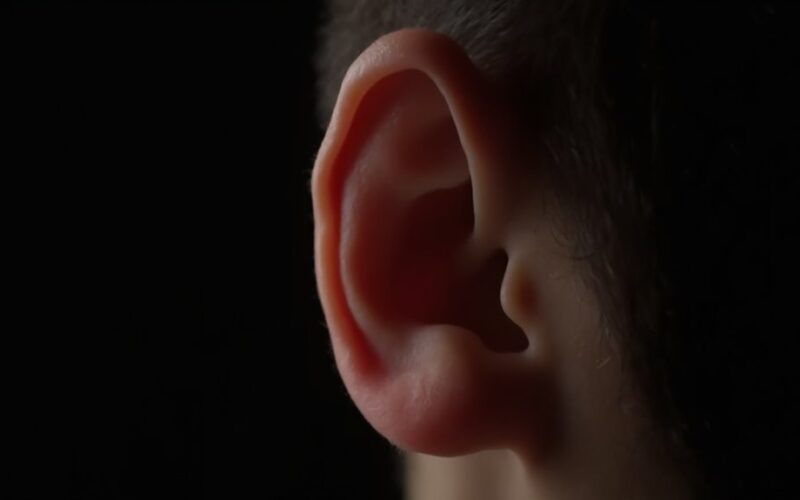ear shape stress response connection