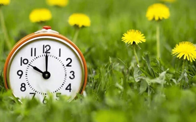 Vasaros laikas Lietuvoje