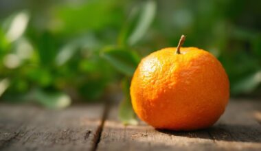 orange reduces sight loss