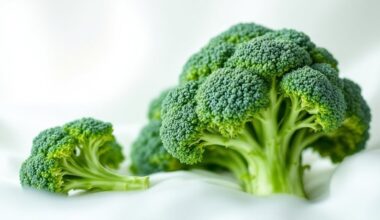 vegetable reduces smoking damage