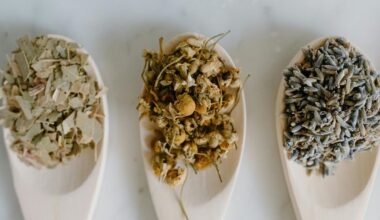 chamomile s medicinal benefits revealed