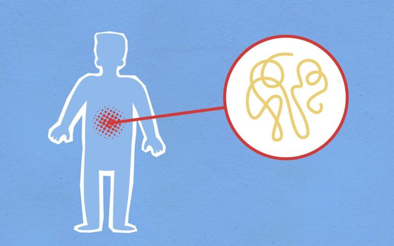 inflammation s silent body signals