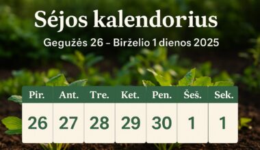 Sėjos kalendorius