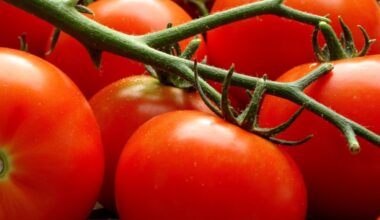 beginner mistakes in gardening