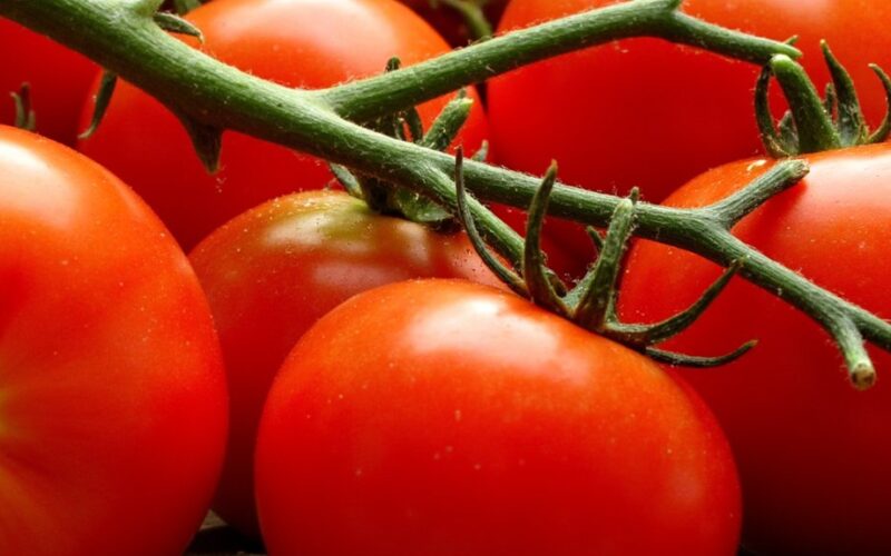 beginner mistakes in gardening