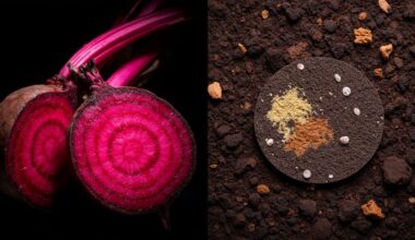 bitter beets indicate deficiencies
