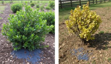 blueberry crop vulnerability demands caution