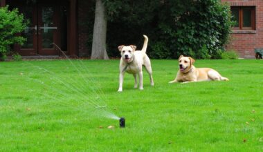 canine lawn occupation deterring tactics