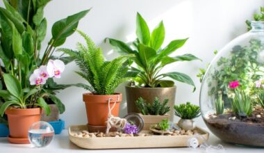 clever flower watering solutions