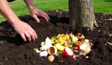 composting kitchen scraps nourishes apple trees