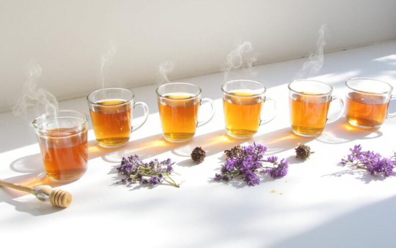 echinacea tea consumption recommendations