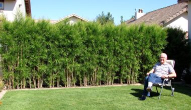 fast growing grass privacy barriers