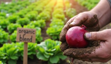 improved beet flavor with fertilizer