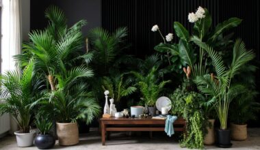 inexpensive luxurious looking houseplants