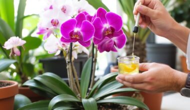 lemon juice harms orchids