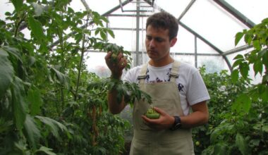 moisture accumulation harms greenhouse plants
