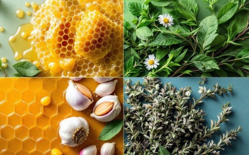 natural antibiotic alternatives identified