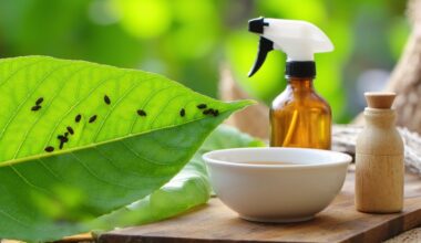 one kitchen ingredient solution