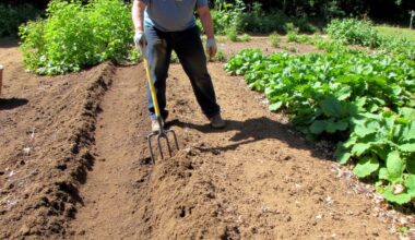 optimized soil health through aeration and drainage