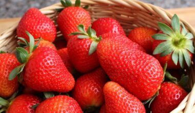 overlooked strawberry freshness preservation technique
