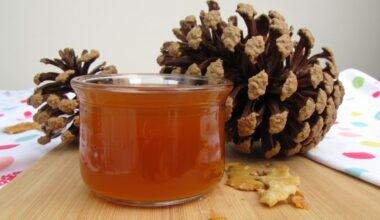pine cone jam debate