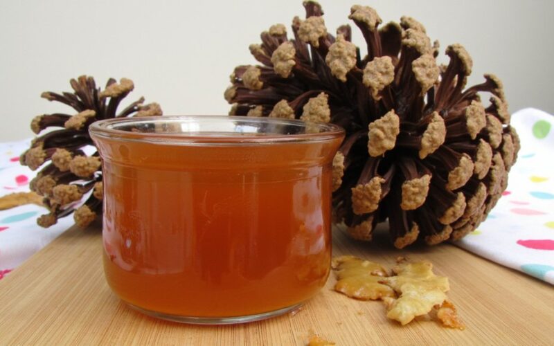 pine cone jam debate