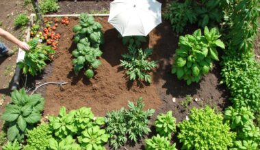 protect vegetables from summer heat