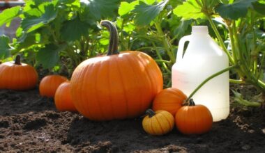 pumpkin growing common household item