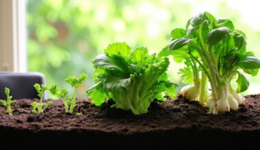 quick growing cost saving stress relieving plants