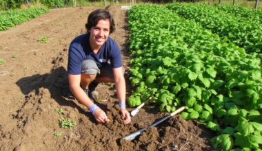 revitalize soil after potato planting