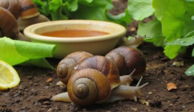 snail garden arrival without intervention