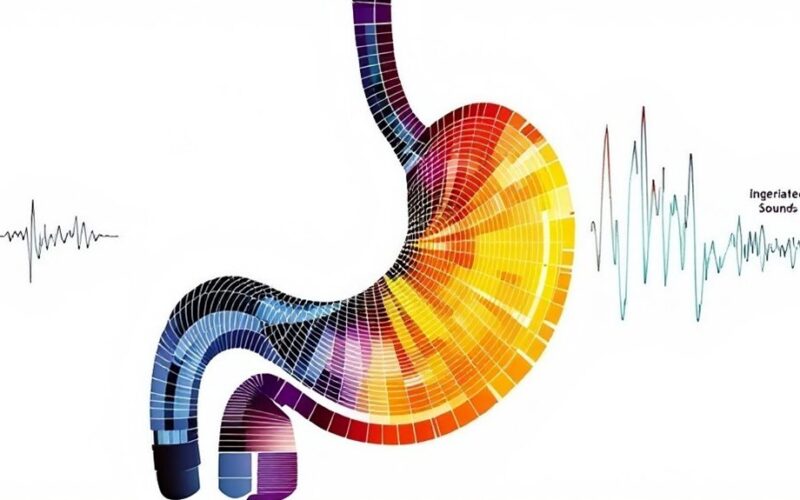 stomach sounds explained meaning