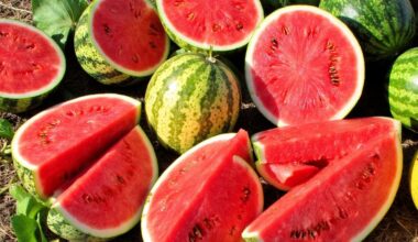 sweet watermelon varieties recommended