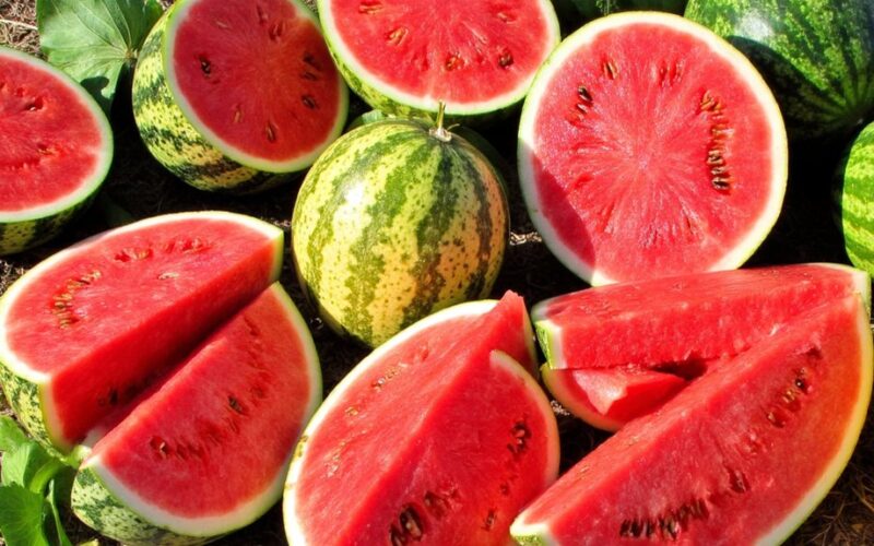 sweet watermelon varieties recommended
