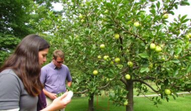 toxic neighbors harm apple trees