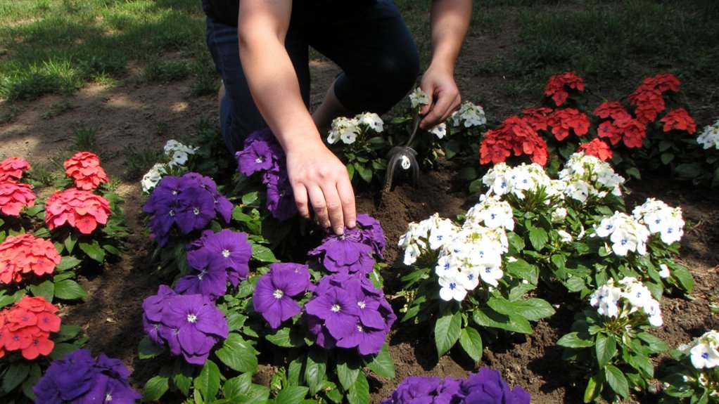vibrant low light annual flower landscapes