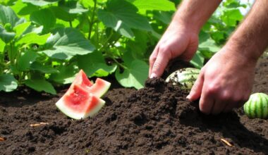 watermelon rind soil amendment gardening